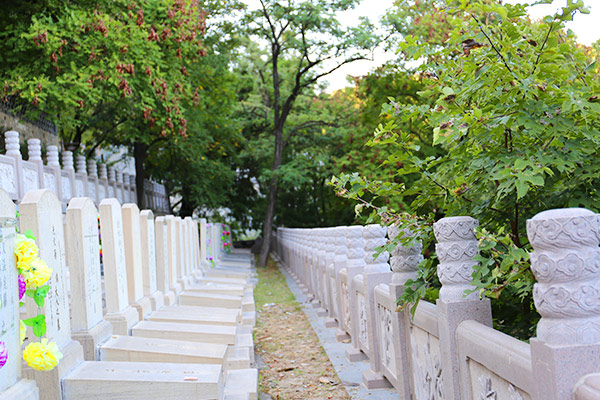 金山陵园景观图