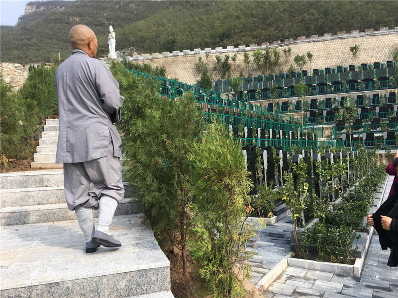 风水师选好墓位