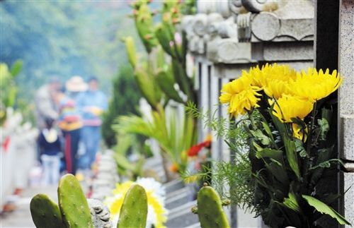 文明祭扫,鲜花祭扫