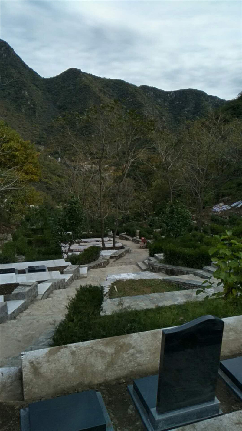 九公山长城纪念林墓区景观