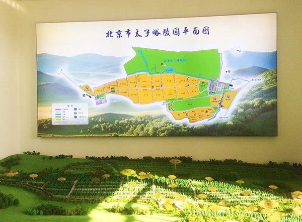 丰台金山陵园平面图