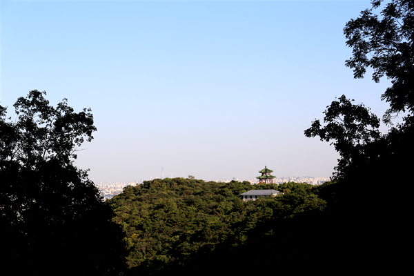 金山陵园景观