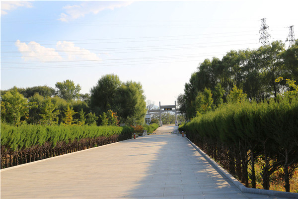 道路风景