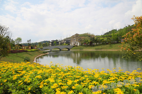 裸果山陵园风景