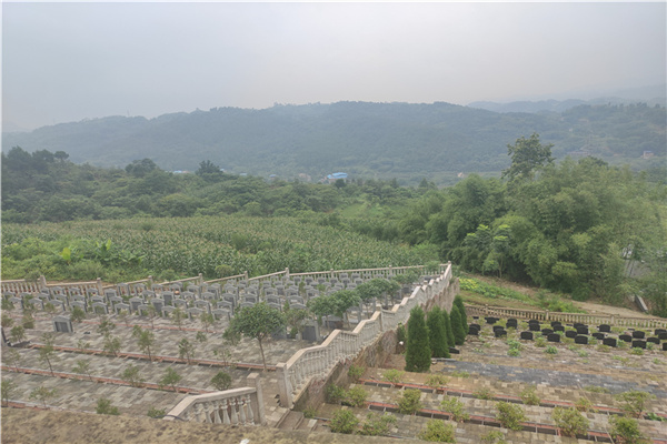 福山陵园墓区景观