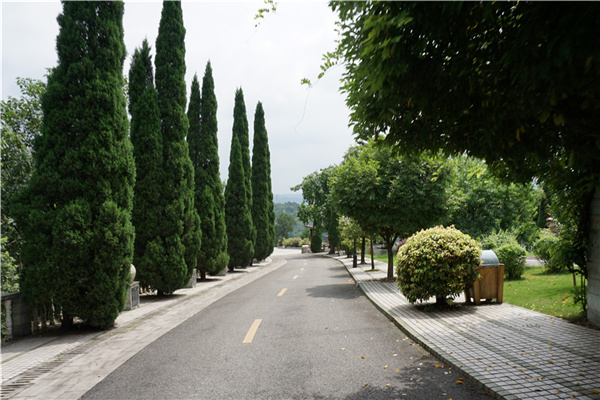 龙居山陵园道路风景