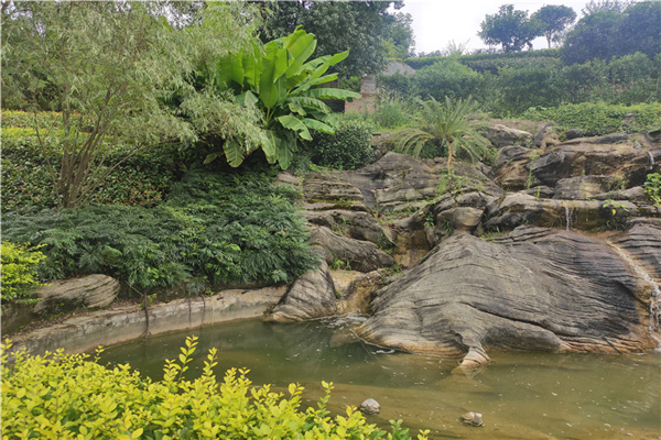 陵园风景