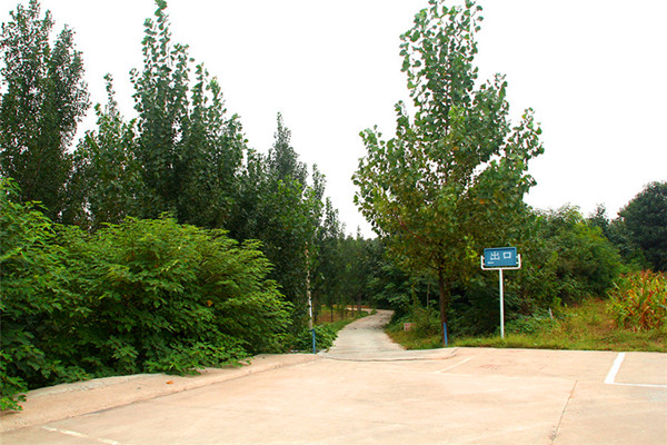 陵园道路