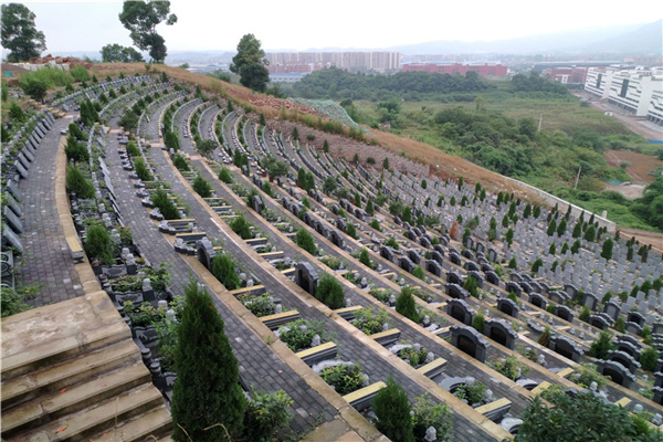 九龙坡墓地