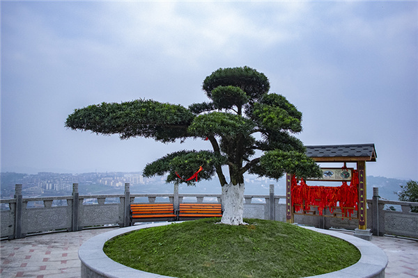 江津墓地风景