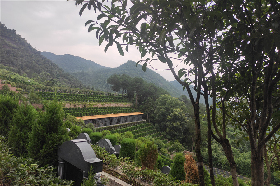 陵园风景