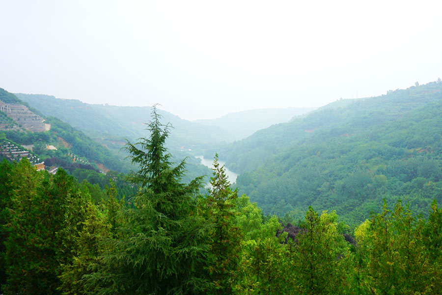 陵园风景