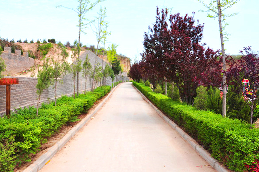 道路风景