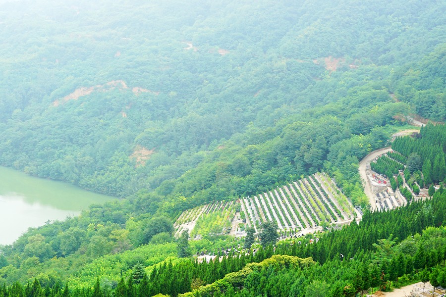 高桥墓园风景