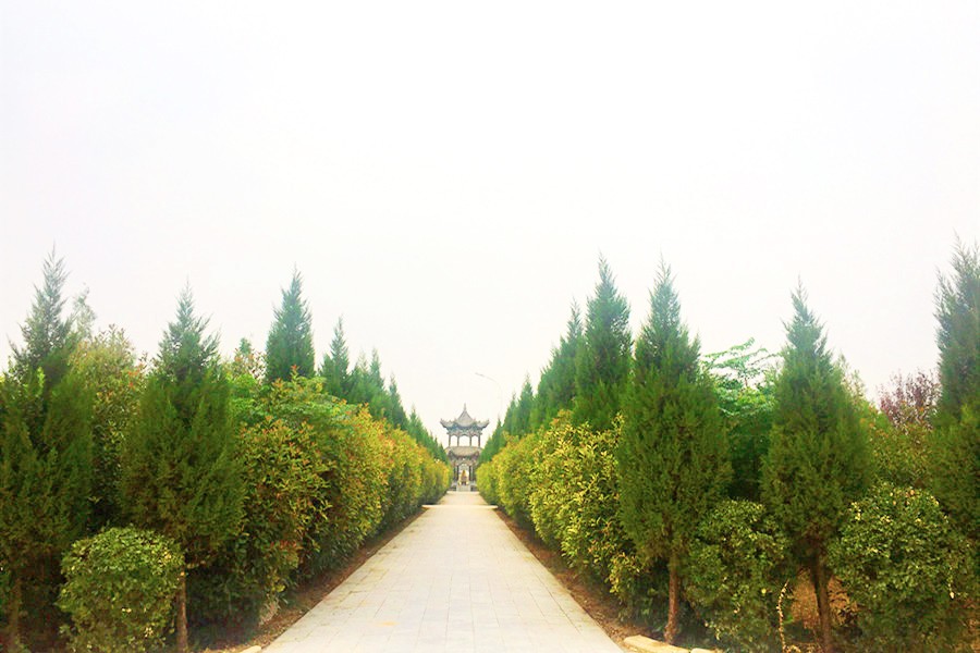 陵园道路风景