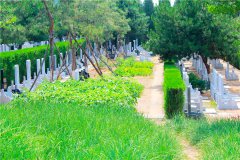 华龙皇家陵园生态葬及其他墓碑价格是多少钱