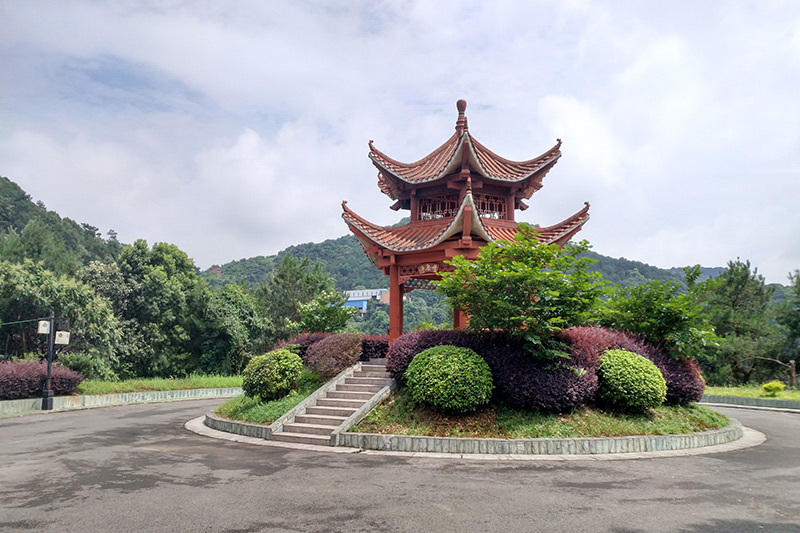 龙居山公墓环境实拍