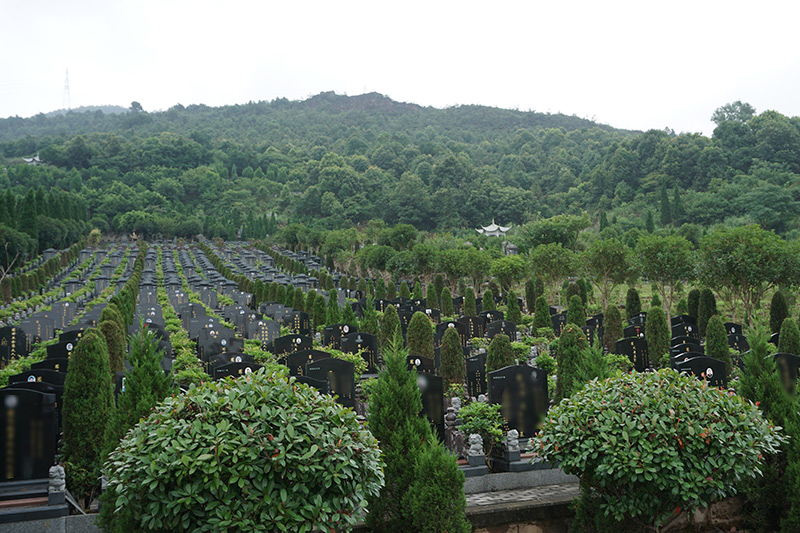 仙女山公墓墓区景观