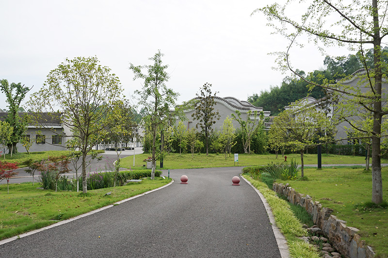 重庆福寿园道路景观