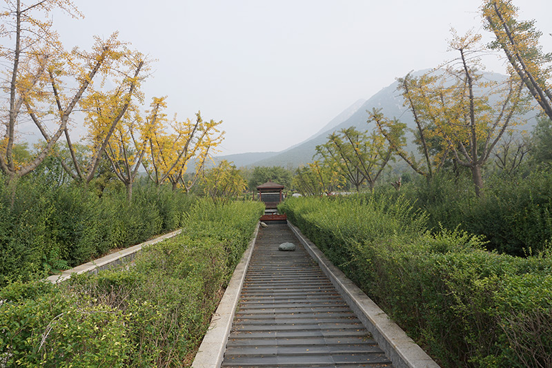 莲花山人文纪念园环境