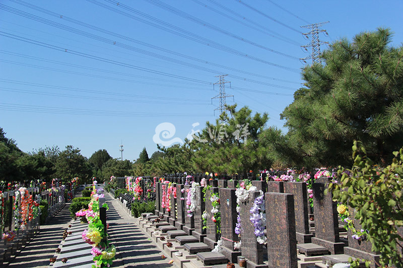 朝阳陵园墓区景观