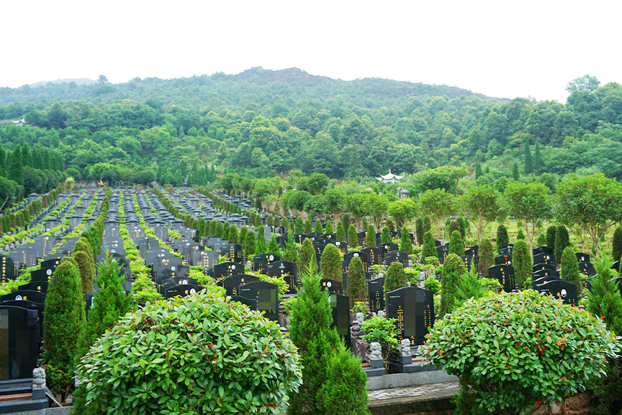 仙女山公墓绿化