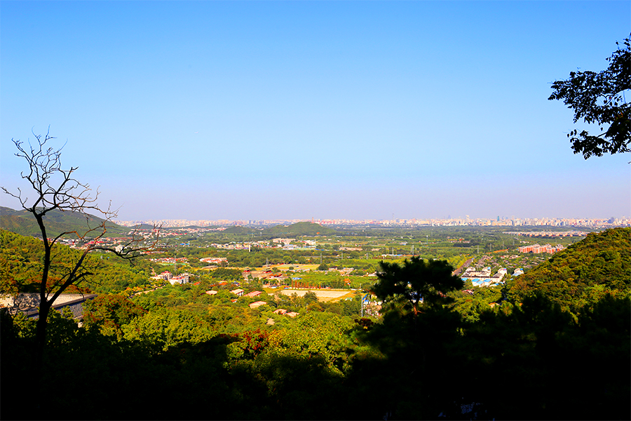 金山陵园周边地势