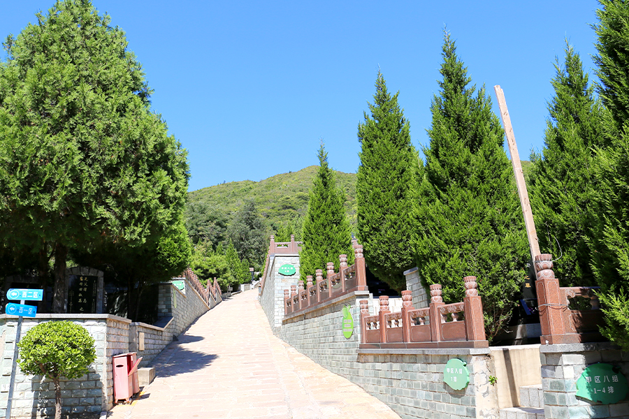 温泉墓园墓区道路