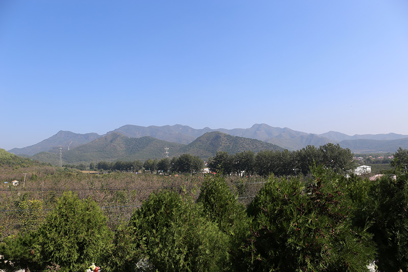 归山陵园植被景观