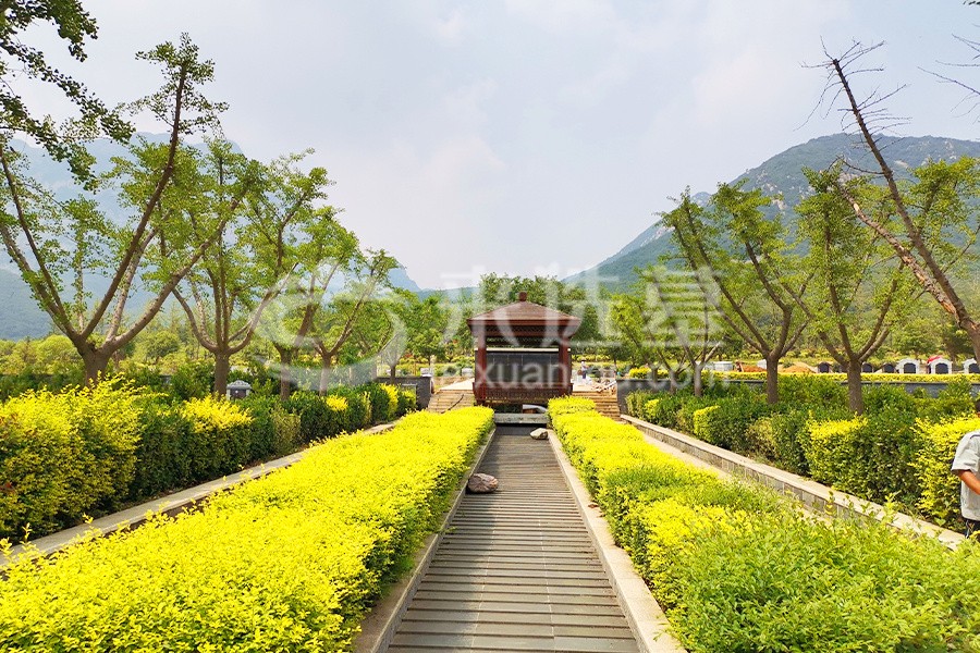 陵园风景