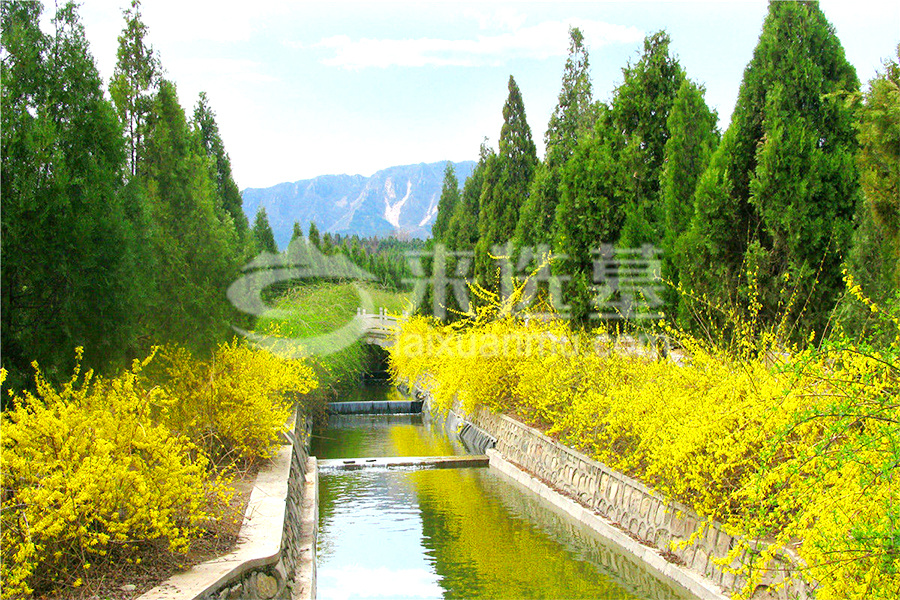 陵园风景