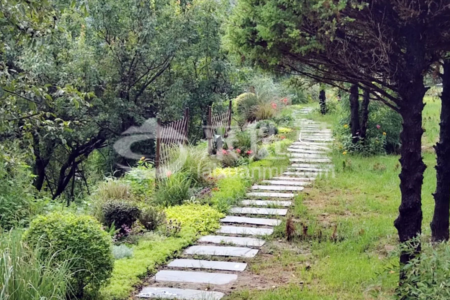 绿化环境 绿化环境